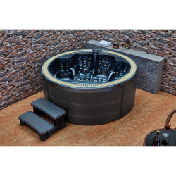 Спа бассейн переливной Mexda WS-391S